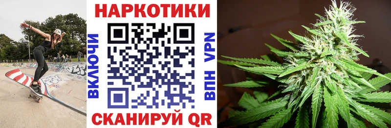 Где купить наркотики Шенкурск СК Псилоцибиновые грибы ГАШИШ Конопля КОКАИН гидра онион АМФ Меф мяу мяу