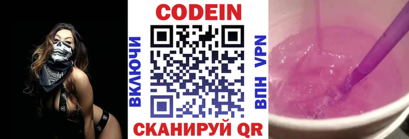где купить наркоту  МЕГА   Кодеин Purple Drank  Шенкурск 