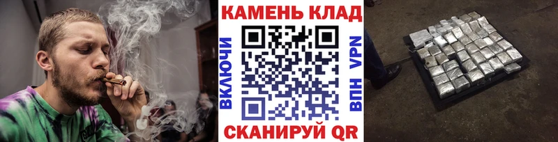 mega онион  Шенкурск  ГАШИШ Cannabis 
