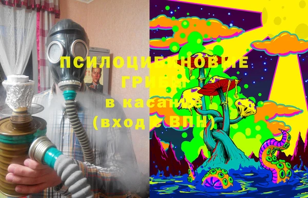 гидропоника Абаза