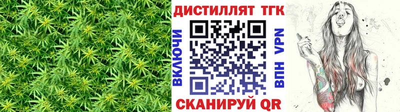 мега как войти  купить  сайты  Шенкурск  ТГК THC oil 