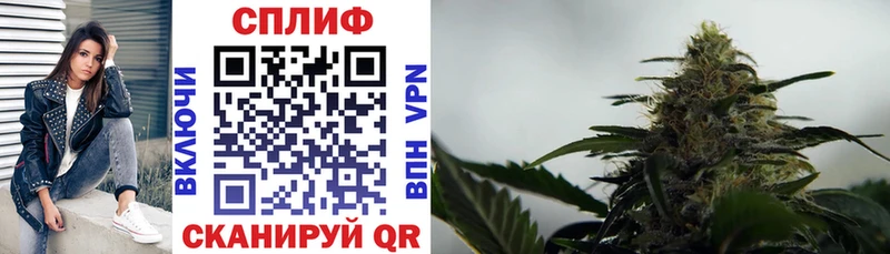 нарко площадка формула  Шенкурск  Марихуана White Widow  цена наркотик 